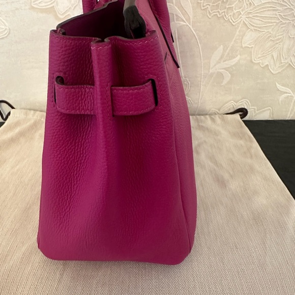 Hermes Birkin 30CM Magnolia Togo Leather with Palladium Hardware - Picture 13 of 16